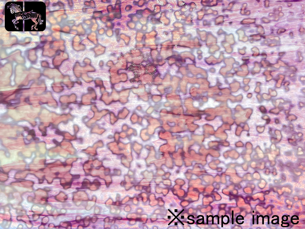 ウロボロス　00-49　ゴールドパープル/ホワイト　リングモトル