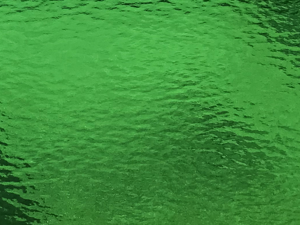 OGTスペクトラム　123RR-96 ミディアムグリーン 膨張係数96(COE96)