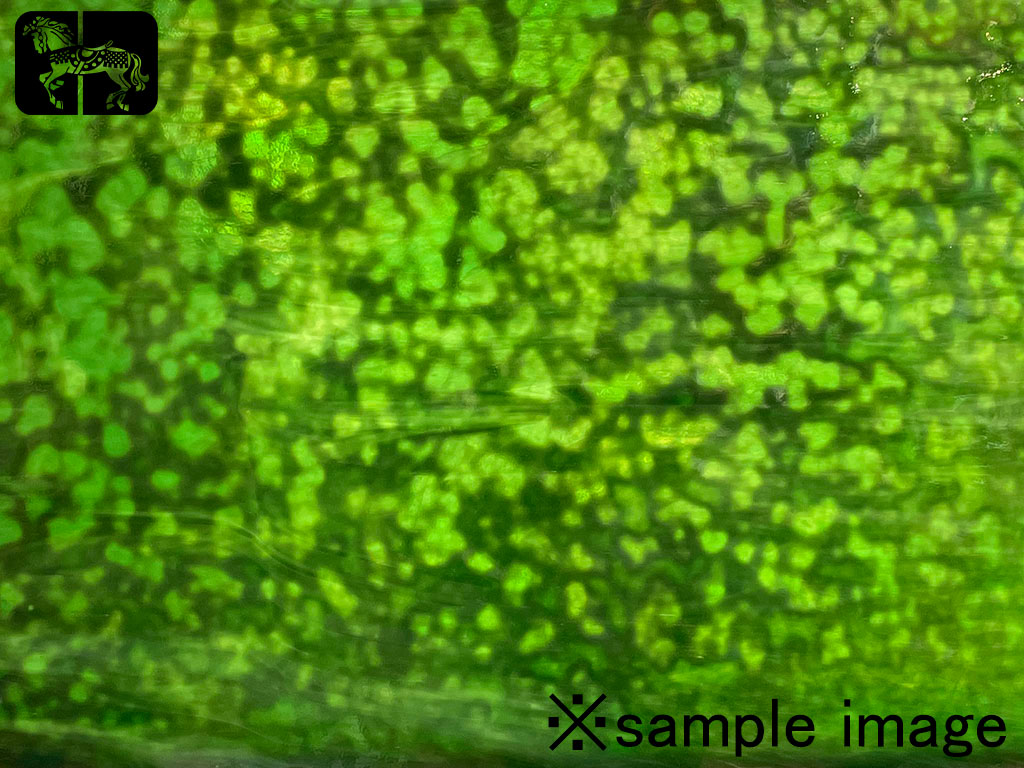 YG 1444RGi ホワイト／グリーン イリデッセント（IR）