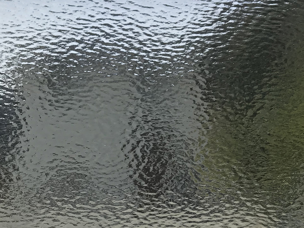 OGTスペクトラム　180-8RR-96ペールグレー　膨張係数96(COE96) RP