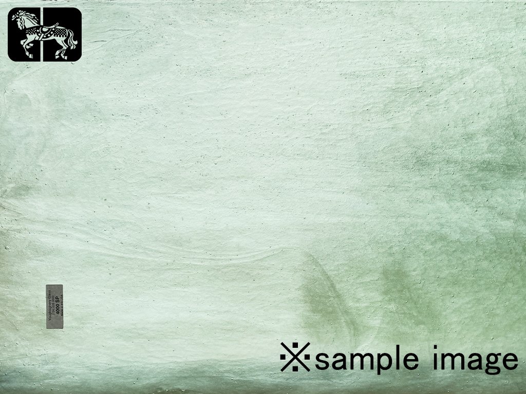 YG 4000SP グリーン 単色