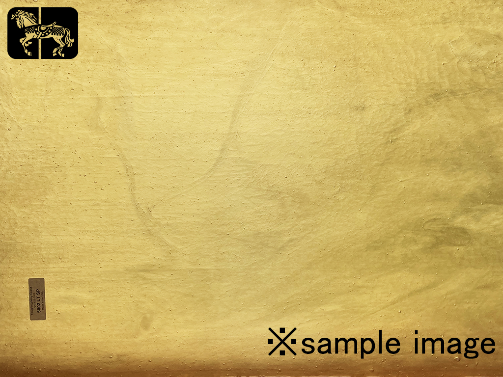 YG 5002LT SP ライトベージュ 単色