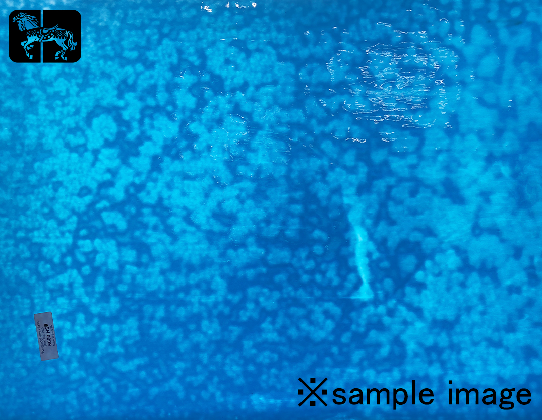 YG 6600HS ターコイズブルー 単色