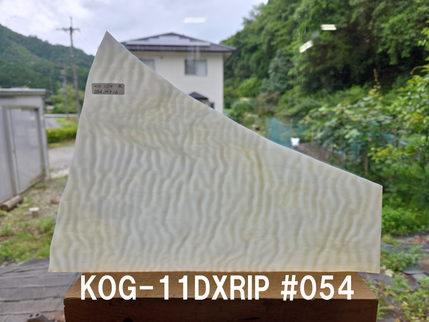 #855【OUTLET】ココモ　KOG-11DXRIP　＃54サイズ：約340ｘ160ｍｍ