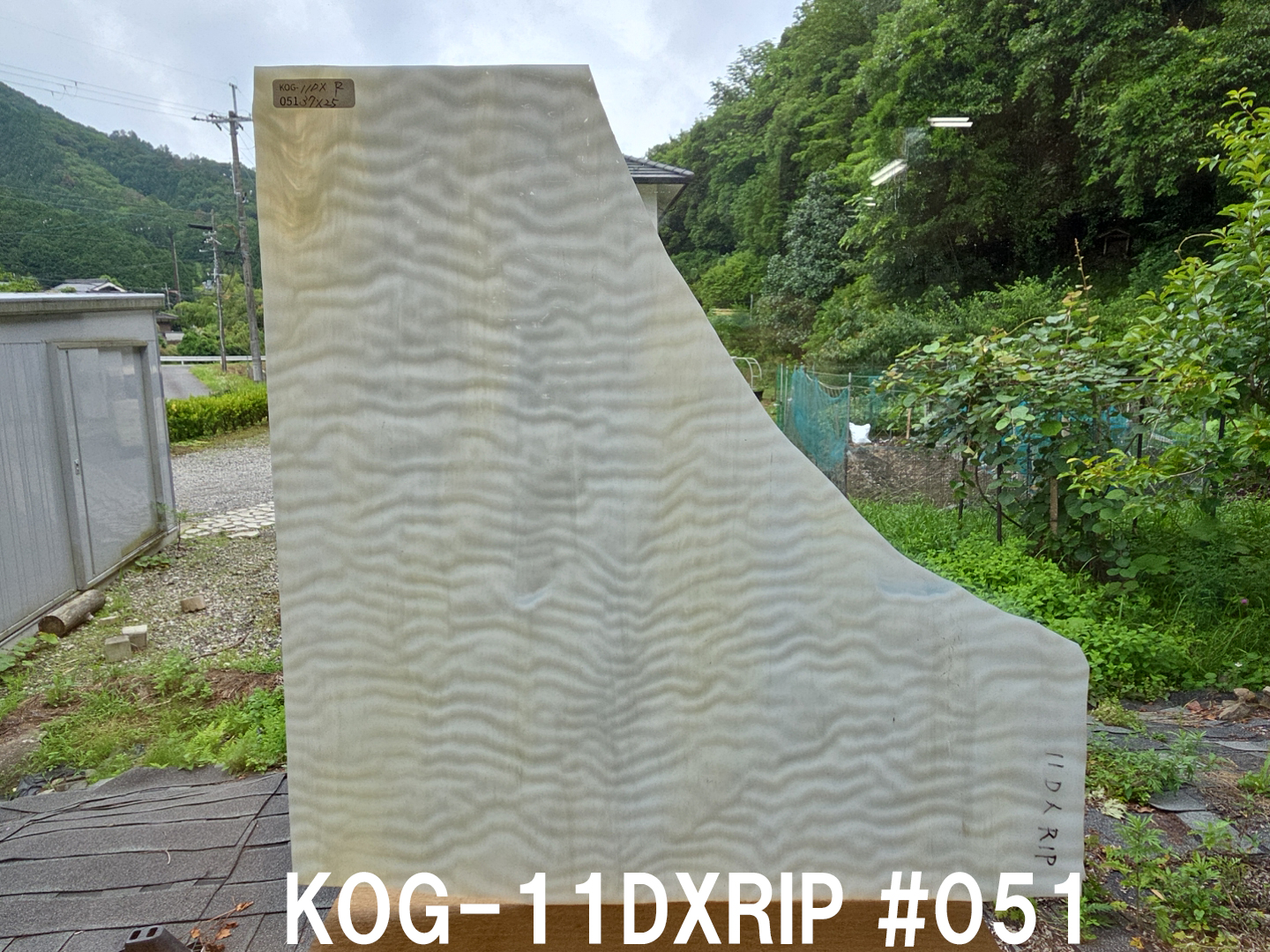 #857【OUTLET】ココモ　KOG-11DXRIP　＃51サイズ：約370ｘ250ｍｍ
