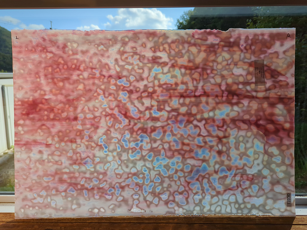 ＃71　オセアナ601　ホワイト/ゴールドピンク