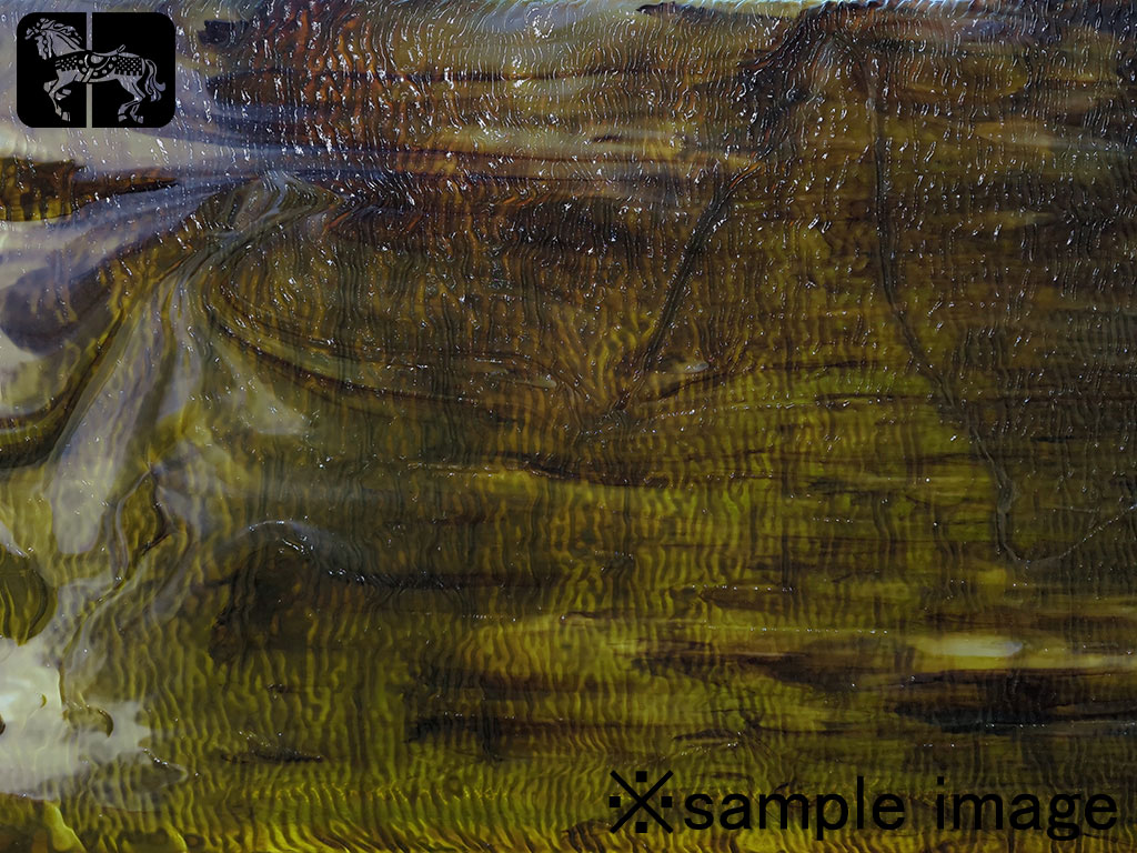 YG 4302RRG グリーン/チョコレートブラウン