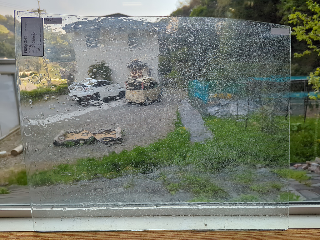 ＃907 フリモントグラス A-6SEEDY