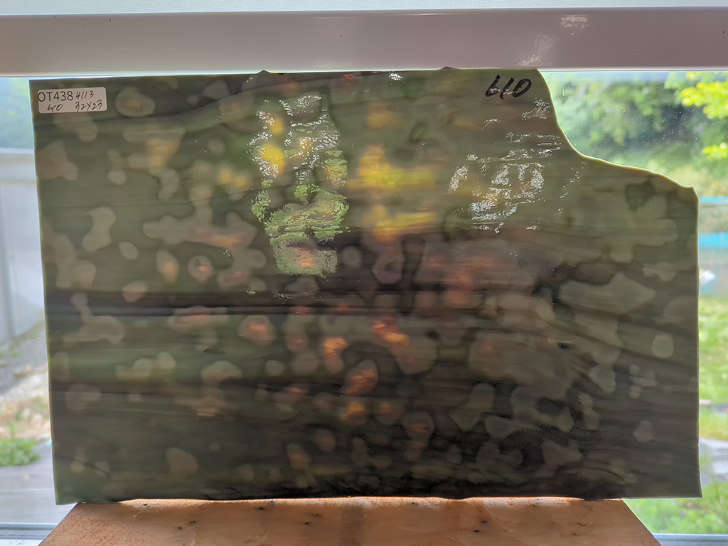 #438  【OUTLET】オセアナ610 目安サイズ320ｘ230ｍｍ VL