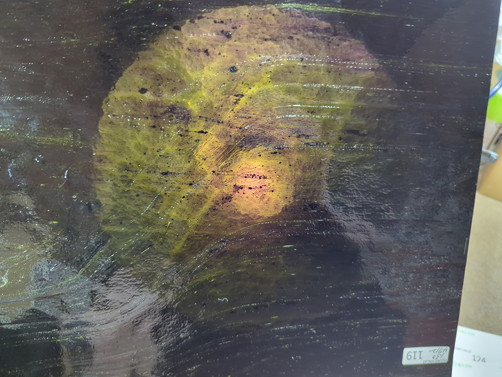 #119 YGアンキャット ダークグリーン サイズ：約460ｘ300ｍｍ
