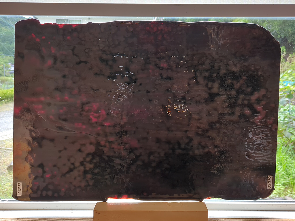 ＃12　オセアナアンキャット ダークレッド