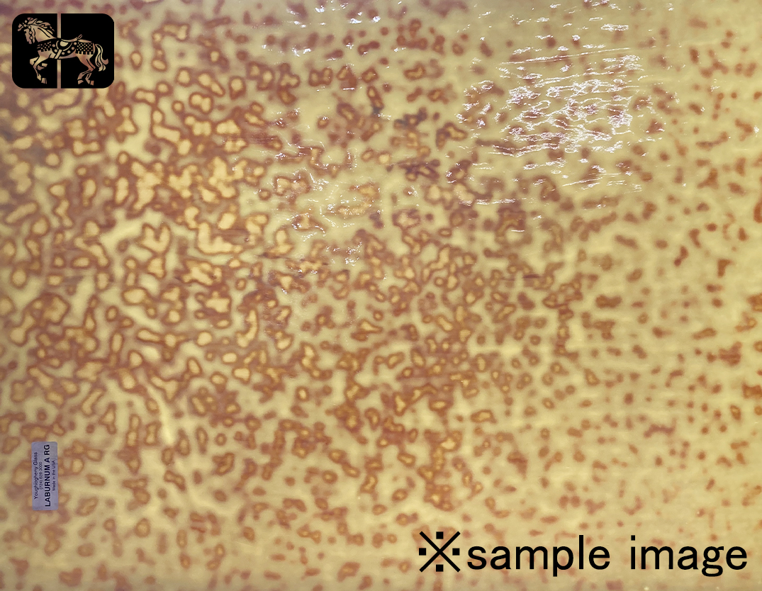 YG LABURNUM A RG ホワイトオパール、ペールシルバーイエロー