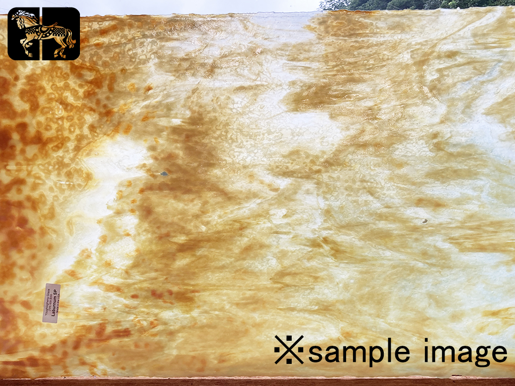 YG LABURNUM SP ホワイト/オータムゴールド/イエローゴールド