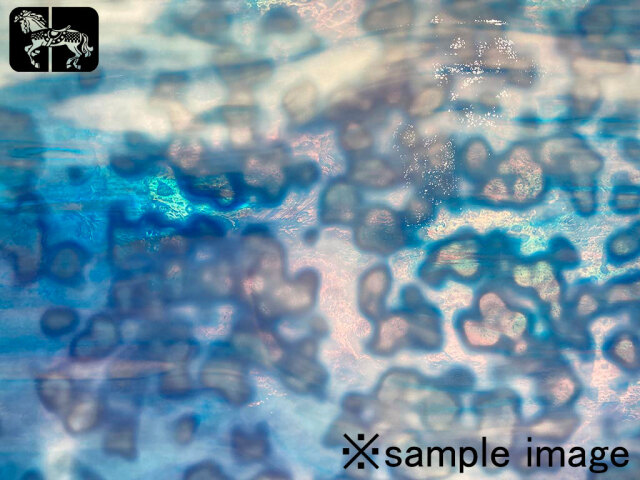 YGウロボロス 00-40 スティール＆スカイブルー