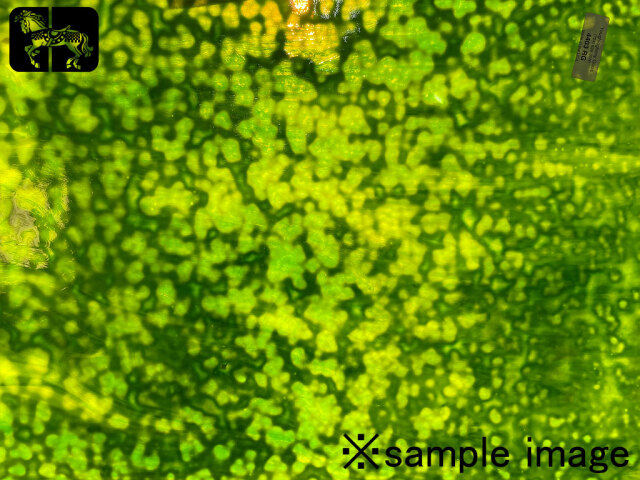 YG 4403RG エメラルドグリーン/ライムグリーン