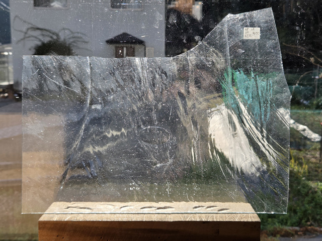 #231 ランバーツ/クリア　サイズ：約380ｘ240ｍｍ