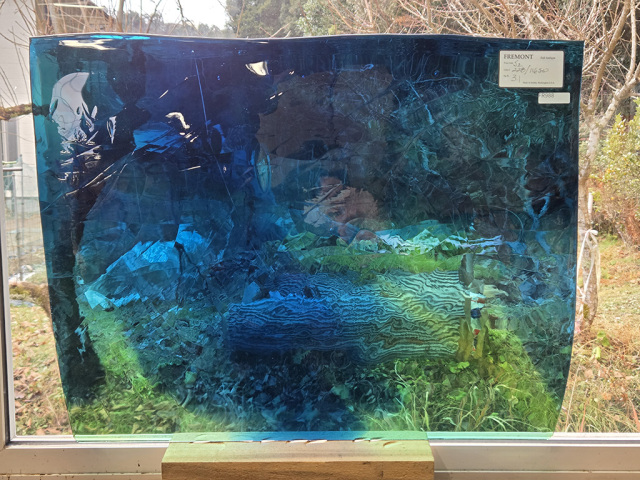 ＃988 フリモントグラス S2-228/116SW