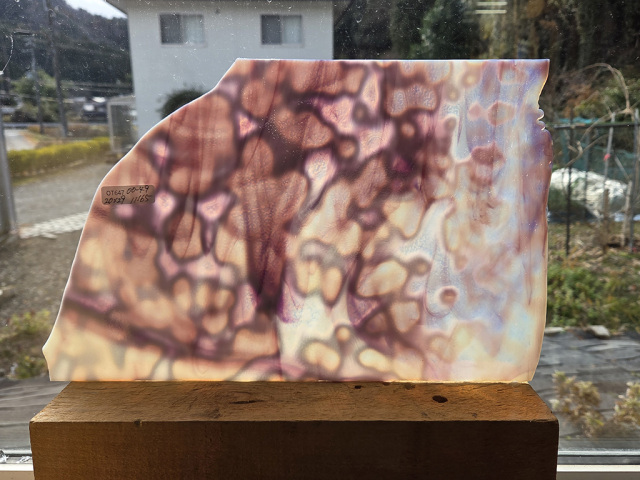 #647【OUTLET】YGウロボロス 00-49 目安サイズ200ｘ290ｍｍ