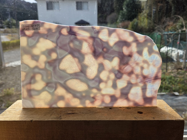 #648【OUTLET】YGウロボロス 00-49 目安サイズ250ｘ150ｍｍ