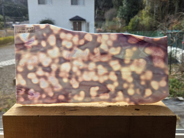 #649【OUTLET】YGウロボロス 00-49 目安サイズ300ｘ140ｍｍ