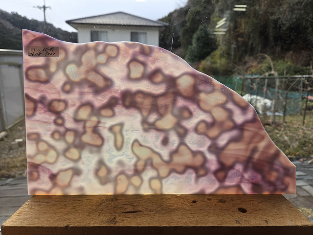 #650【OUTLET】YGウロボロス 00-49 目安サイズ260ｘ180ｍｍ