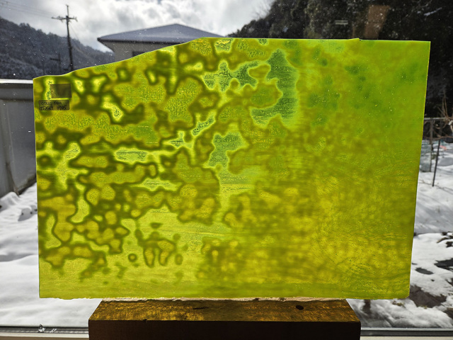 ＃681【OUTLET】YG アンキャット　サイズ：約450ｘ290mm