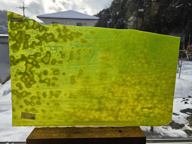 ＃682【OUTLET】YG アンキャット　サイズ：約450ｘ270mm