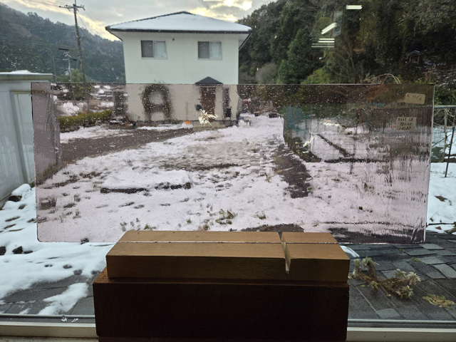 #441 ランバーツ/パープル　サイズ：約500ｘ200ｍｍ