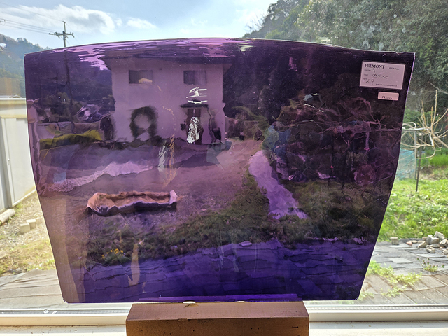 ＃1016 フリモントグラス S1-184・50