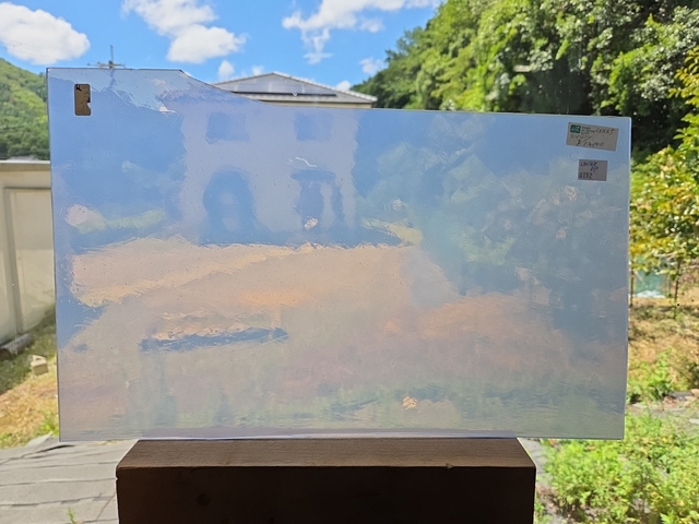 #752 ランバーツ/ライトバイオレットOP　サイズ：約260ｘ450ｍｍ