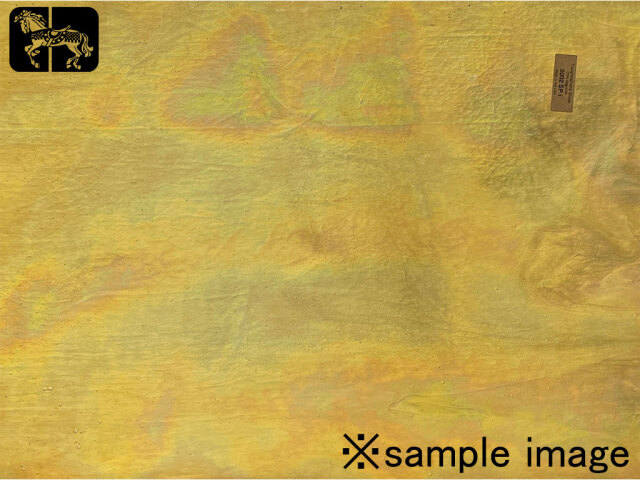 YG 5002SPi ベージュ イリデッセント(IR) 単色