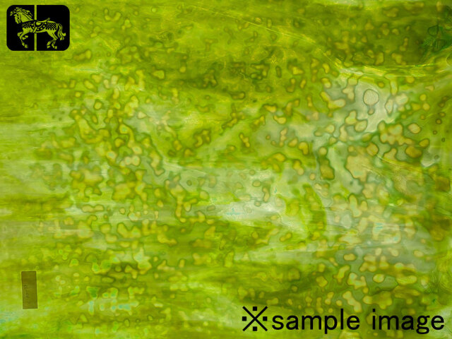 YGウロボロス　00-78　ライトグリーン/スプリンググリーン