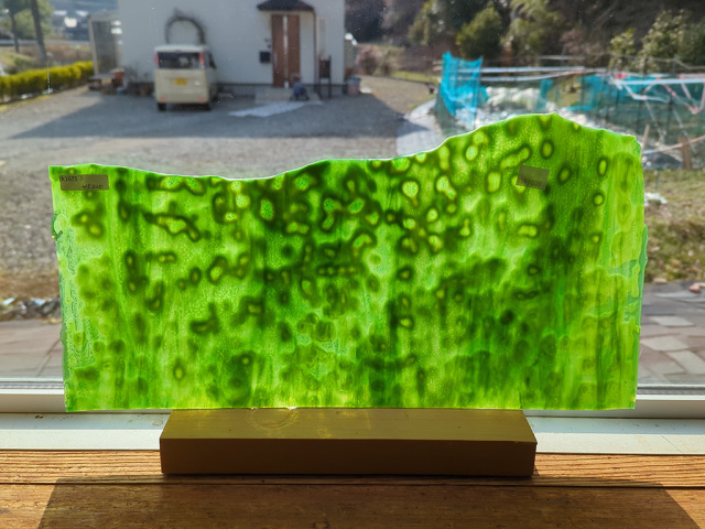 #1675【OUTLET】サーカ/グリーン　目安サイズ450ｘ200ｍｍ