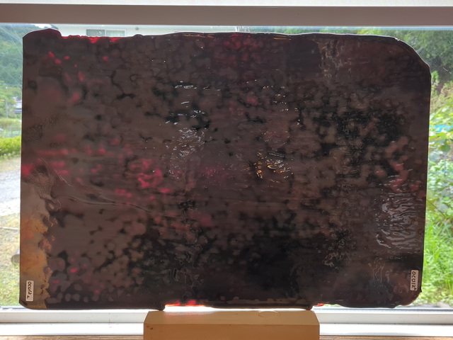 ＃12　オセアナアンキャット ダークレッド