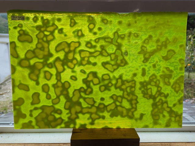 #258 YGアンキャット グリーン/サイズ：約460ｘ310ｍｍ