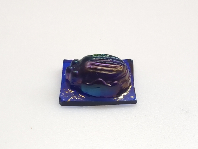 グラスジュエル スカラベ/ミッドナイトブルーS《LP可》