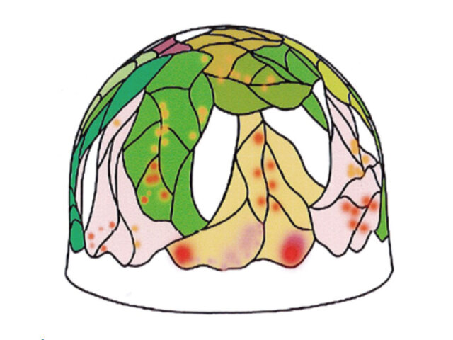 【受注生産品】ステンドグラス型 Fモールド FRP製 9インチ　トランペットバイン_314