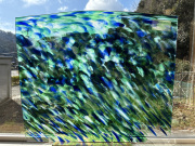 フリモントグラス(Fremontantique)