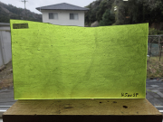 ＃699【OUTLET】4500SPライムグリーン 　サイズ：約310ｘ170mm