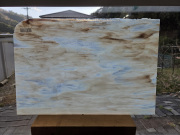 #371 YGアンキャット/ホワイト・ブラウン　サイズ：約450ｘ300ｍｍ