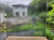 #480　YGアンキャット/ライトグレー　サイズ：約300ｘ250ｍｍ