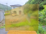 #488　YGアンキャット/アンバー　サイズ：約360ｘ260ｍｍ