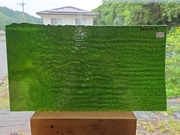 #684 ブルズアイ0141/ダークフォレストグリーン 膨張係数90(COE90) サイズ：約470ｘ260ｍｍ