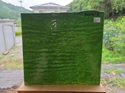 #689 ブルズアイ0141/ダークフォレストグリーン 膨張係数90(COE90) サイズ：約280ｘ260ｍｍ