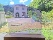 #754 ランバーツ/バイオレット　サイズ：約220ｘ280ｍｍ