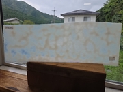 ＃876【OUTLET】ヤカゲニーアンキャット　ホワイト　サイズ：約455ｘ150mm