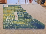 #970  【OUTLET】オセアナ604 目安サイズ240ｘ200ｍｍ VL
