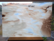 #311 YGアンキャット ホワイト/ブラウン　サイズ：約450ｘ300ｍｍ