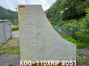 #857【OUTLET】ココモ　KOG-11DXRIP　＃51サイズ：約370ｘ250ｍｍ