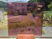 #153 ココモ/パープル  サイズ：約320ｘ330ｍｍ